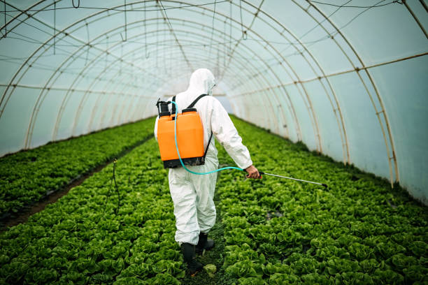 Best Commercial Pest Control Services  in Larimore, ND