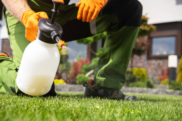 Best Pest Prevention Services  in Larimore, ND