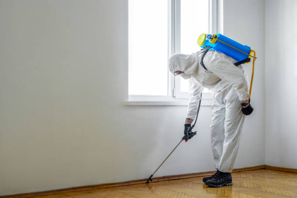Best Residential Pest Control  in Larimore, ND