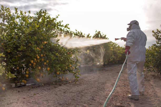 Trusted Larimore, ND Pest Control Experts