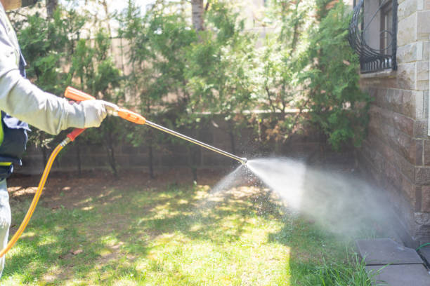 Best Cockroach Control Services  in Larimore, ND