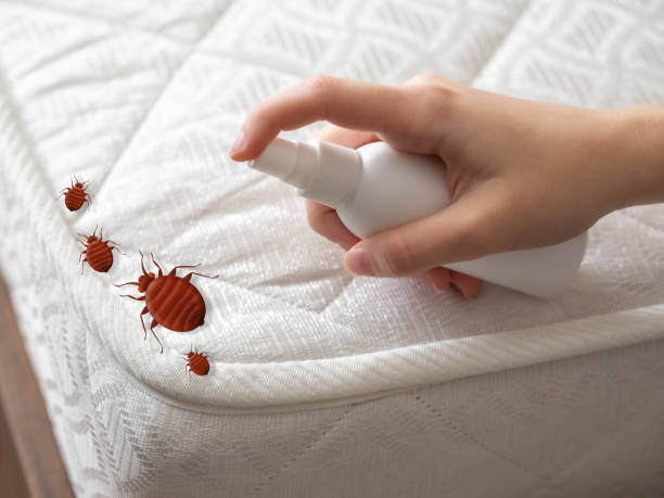 Best Affordable Pest Control Services  in Larimore, ND