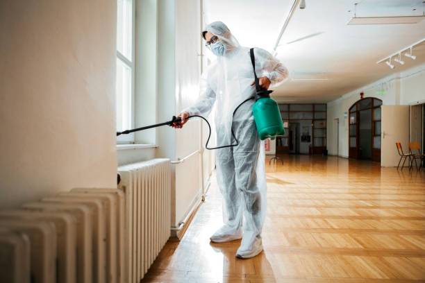 Best Termite Control Services  in Larimore, ND