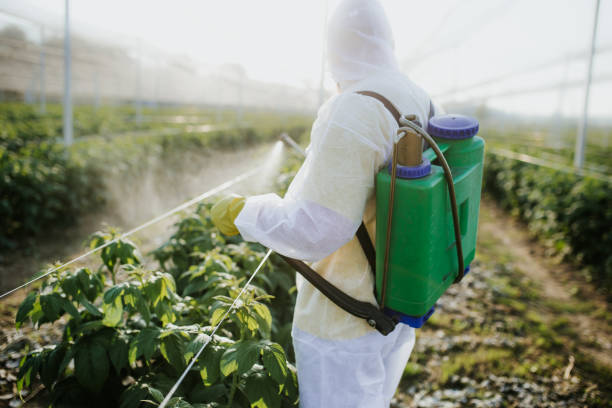 Best Exterminator Services  in Larimore, ND